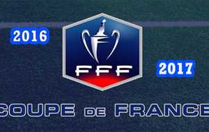 57992c94a4fbf_logocoupedeFrance.jpg